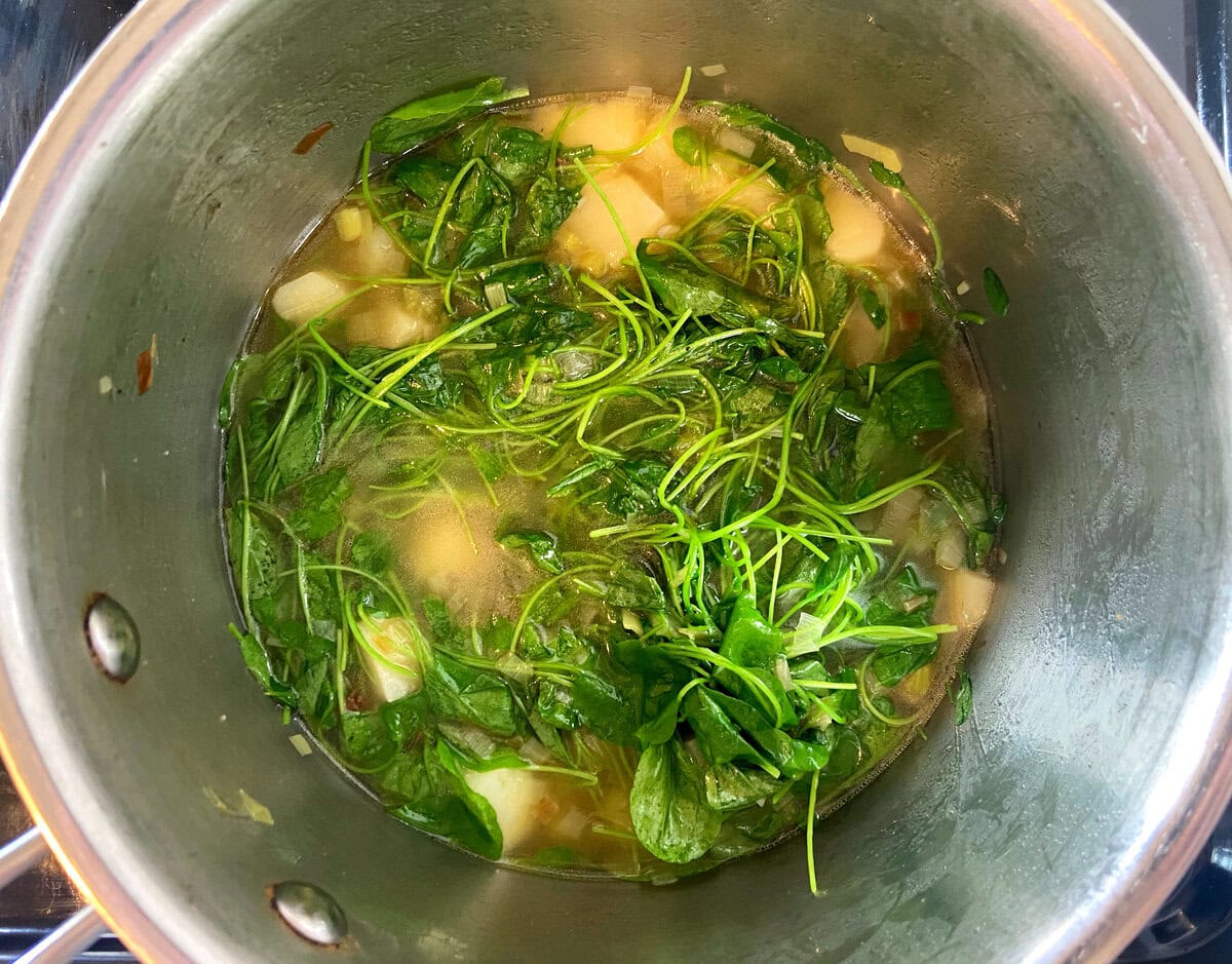 the witches cress in soup