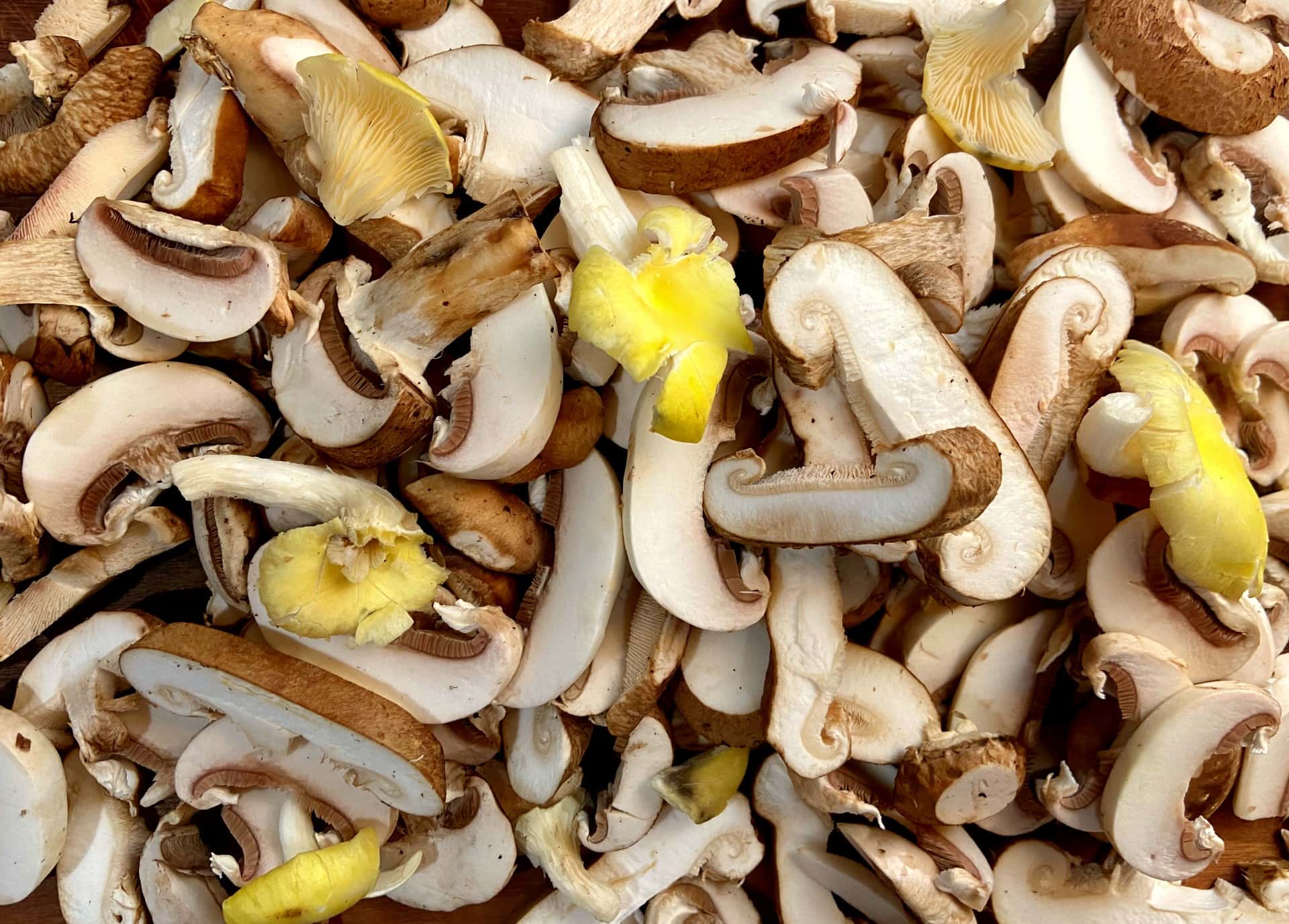 mixed mushrooms