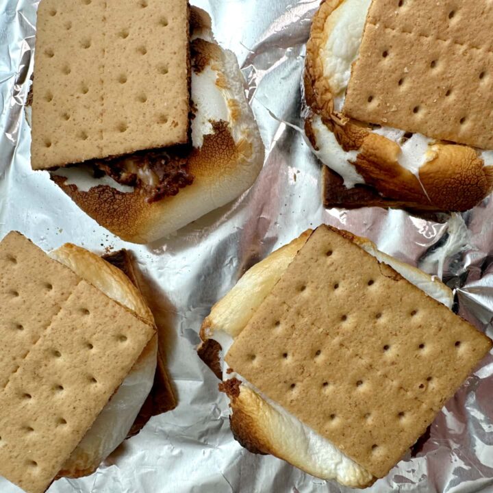 Babe-y Ruth S'mores